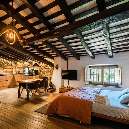 Country house Masia De Ferrer Arbucies